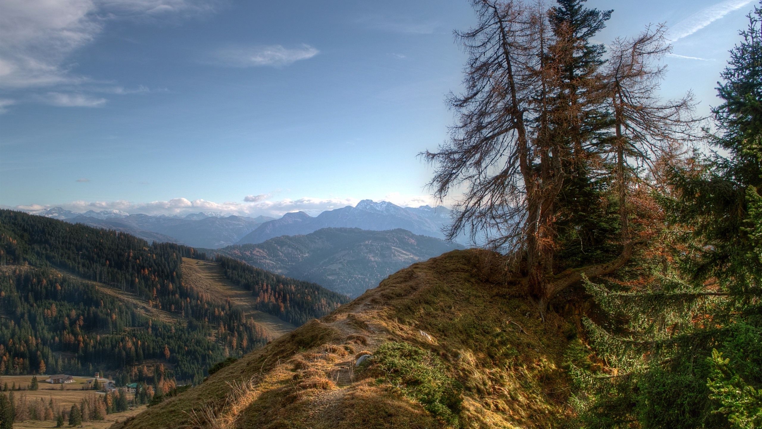 Mountains Top Trees Nature Wallpaper