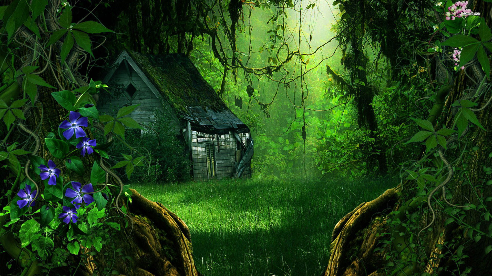 Fantasy Forest Wallpaper 1920x1080  in the forest 1920x1080