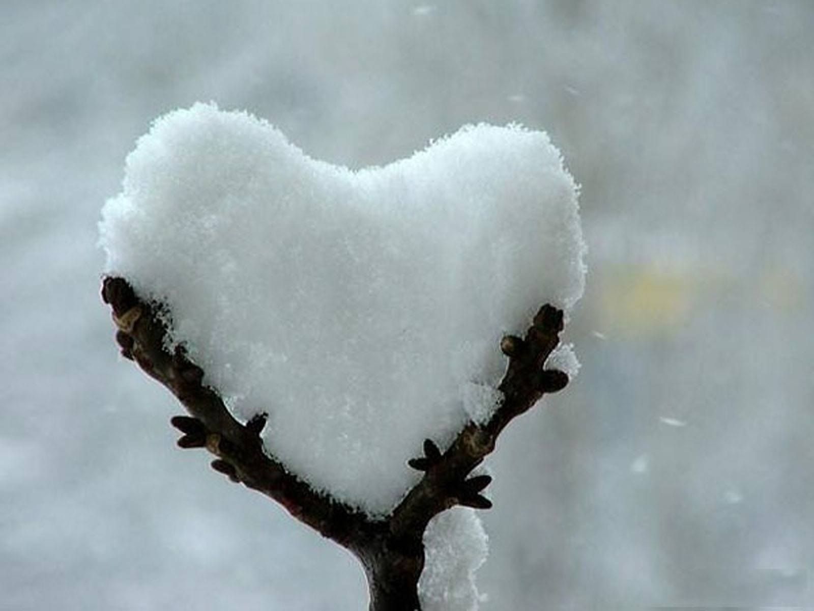Snow Love Heart In Nature Winter Beauty Art