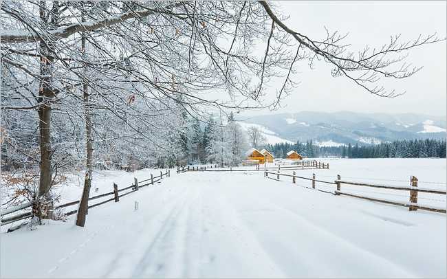 Scenic Winter Lane Wallpaper To Create A Relaxing Mood