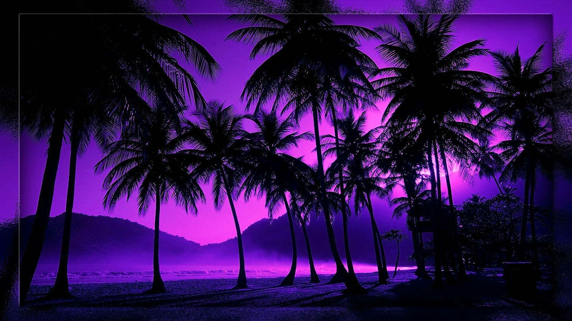 Tropical Night Sky Wallpaper On