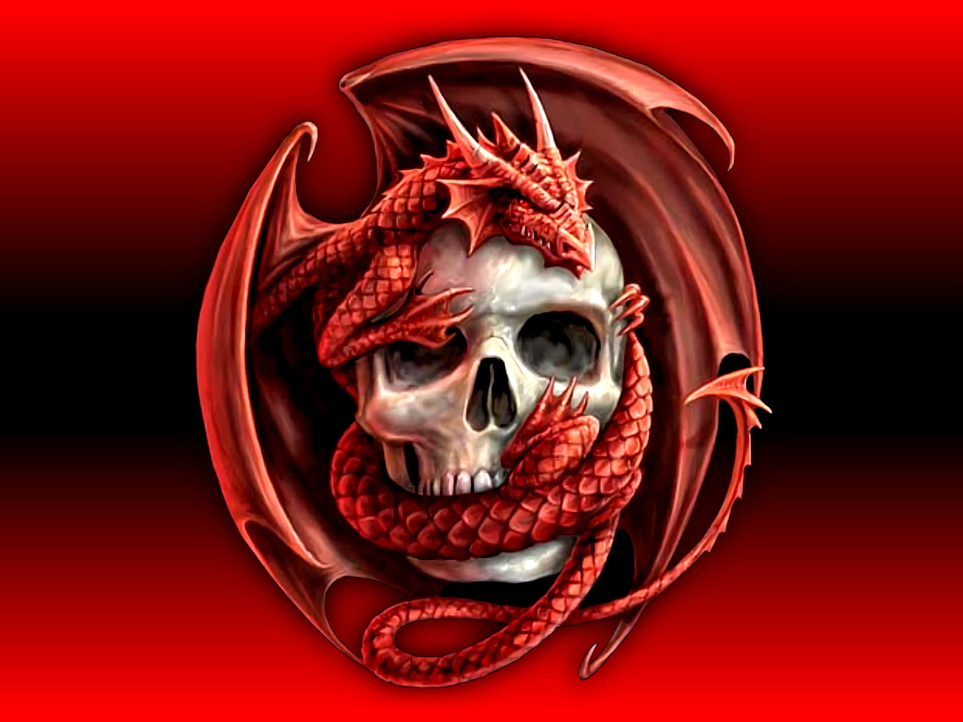 Red Dragon Skull Wallpaper