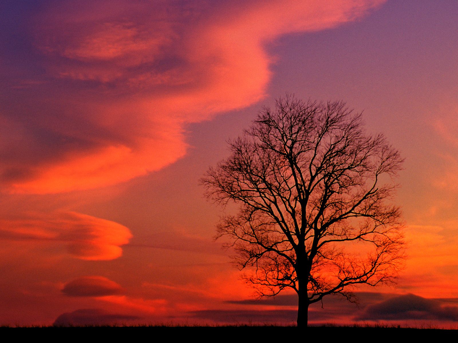 Crimson Twilight Kentucky Nature Wallpaper Image Featuring Sunrises