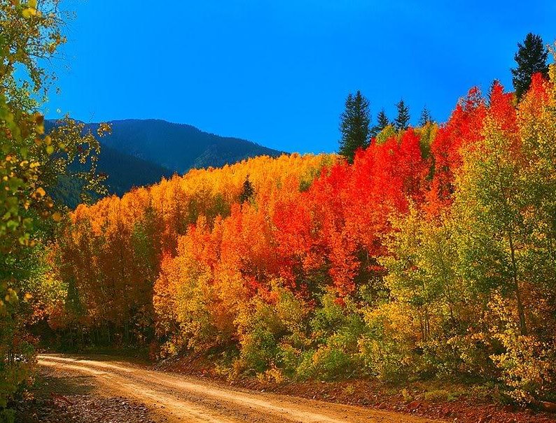 Country Backroad Wallpaper Colorado Fall Colors