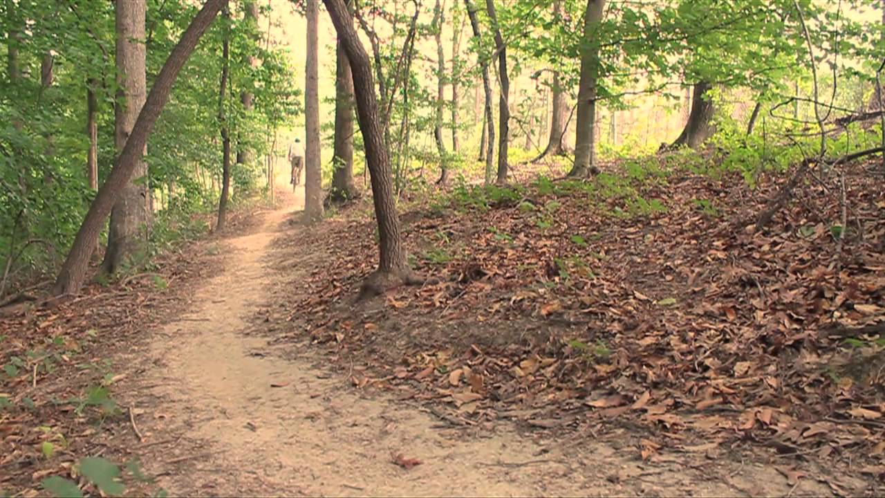 [50+] Wallpaper Stores in Raleigh on WallpaperSafari