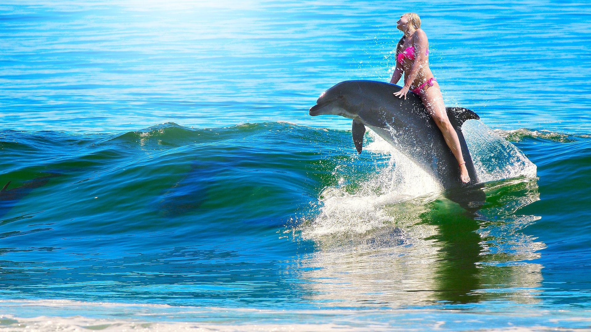 Woman And Dolphin Riding Wallpaper Stream