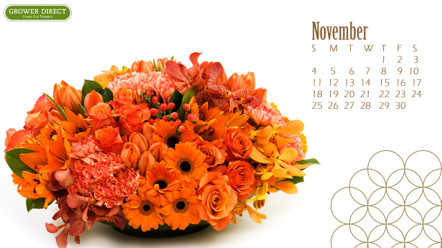 Bie Friday HD November Desktop Calendar Wallpaper
