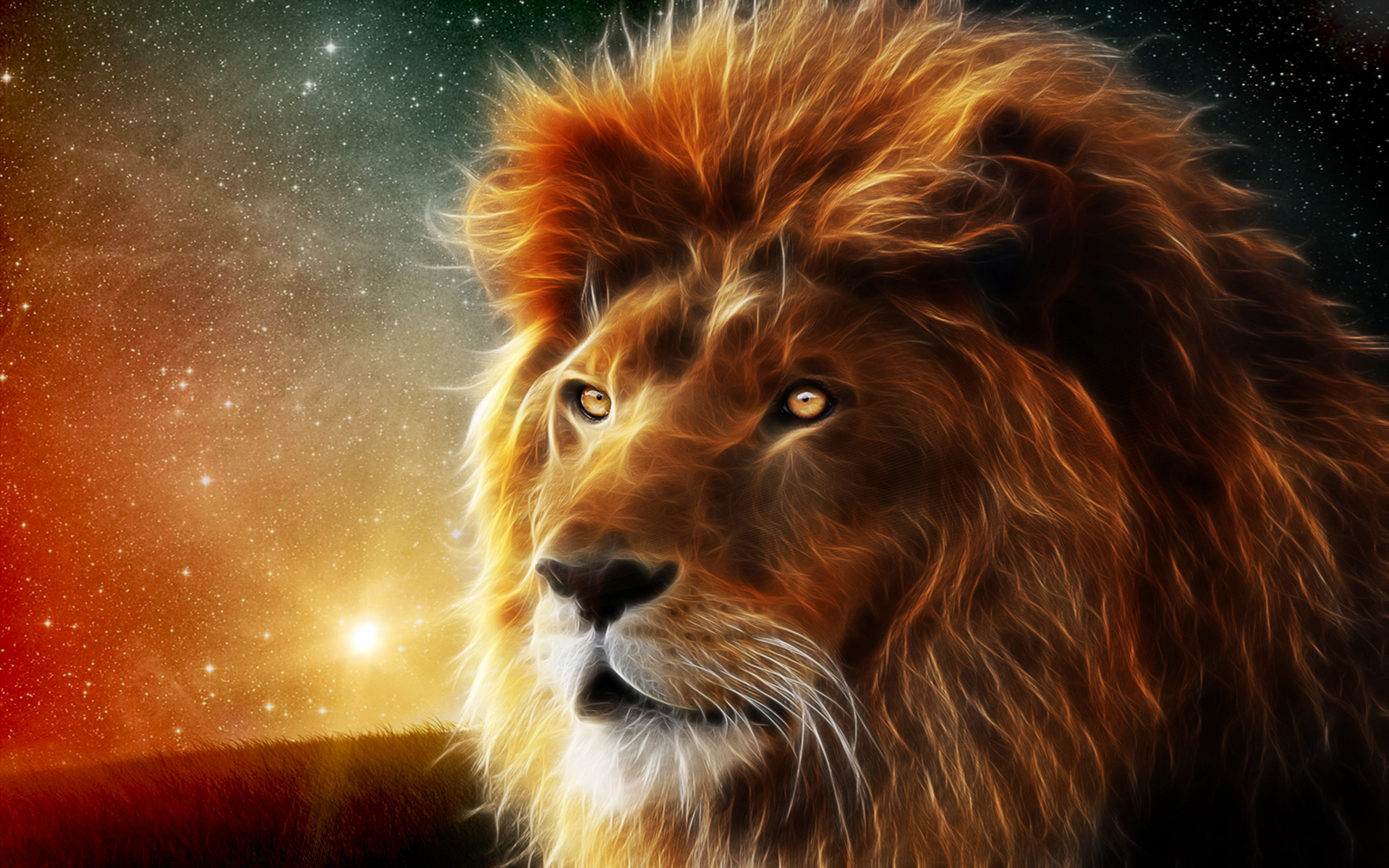 The Lion Of Judah HD Wallpaper Pictures To Pin