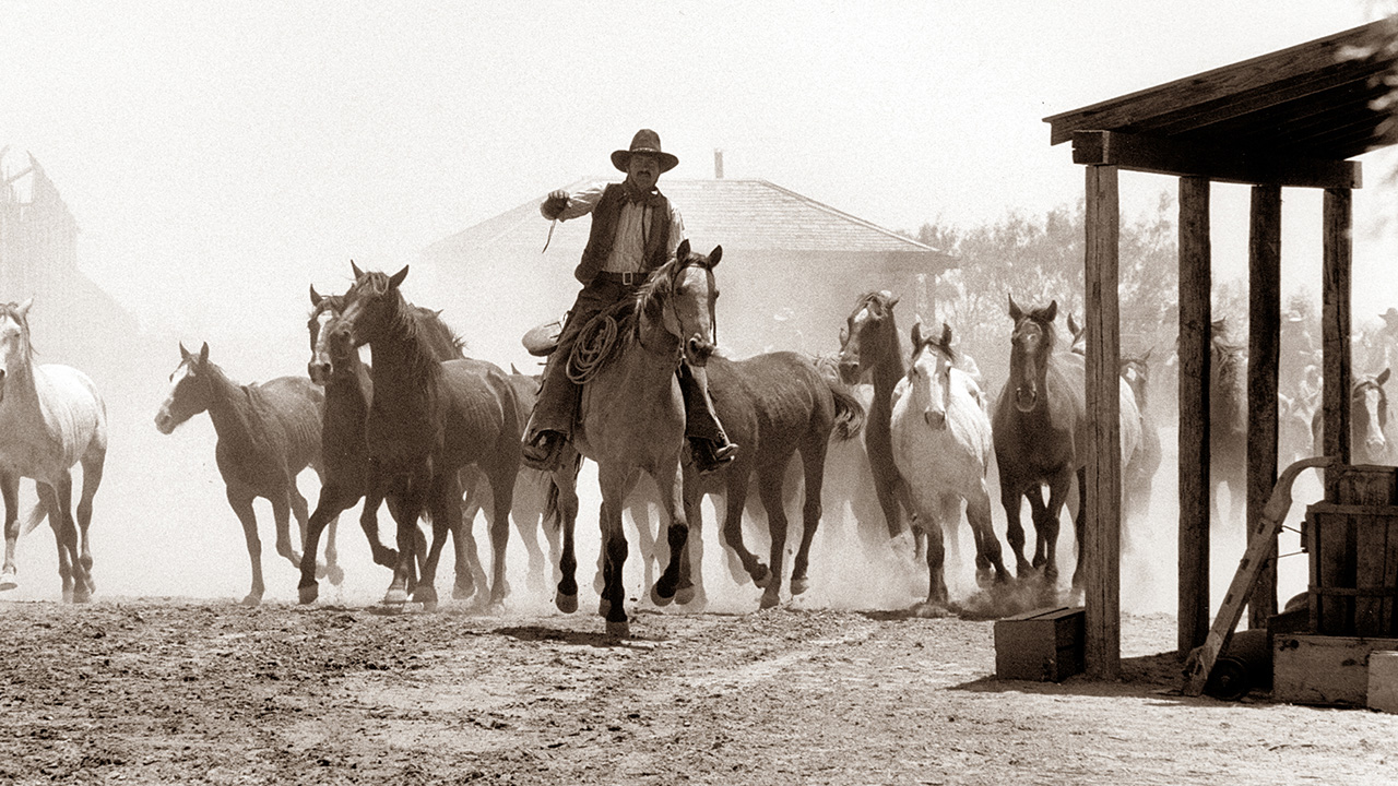 Geoff Dyer On First Looking Into Larry Mcmurtry S Lonesome Dove