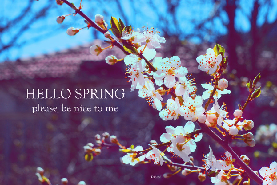 Hello Spring By D1sabl3