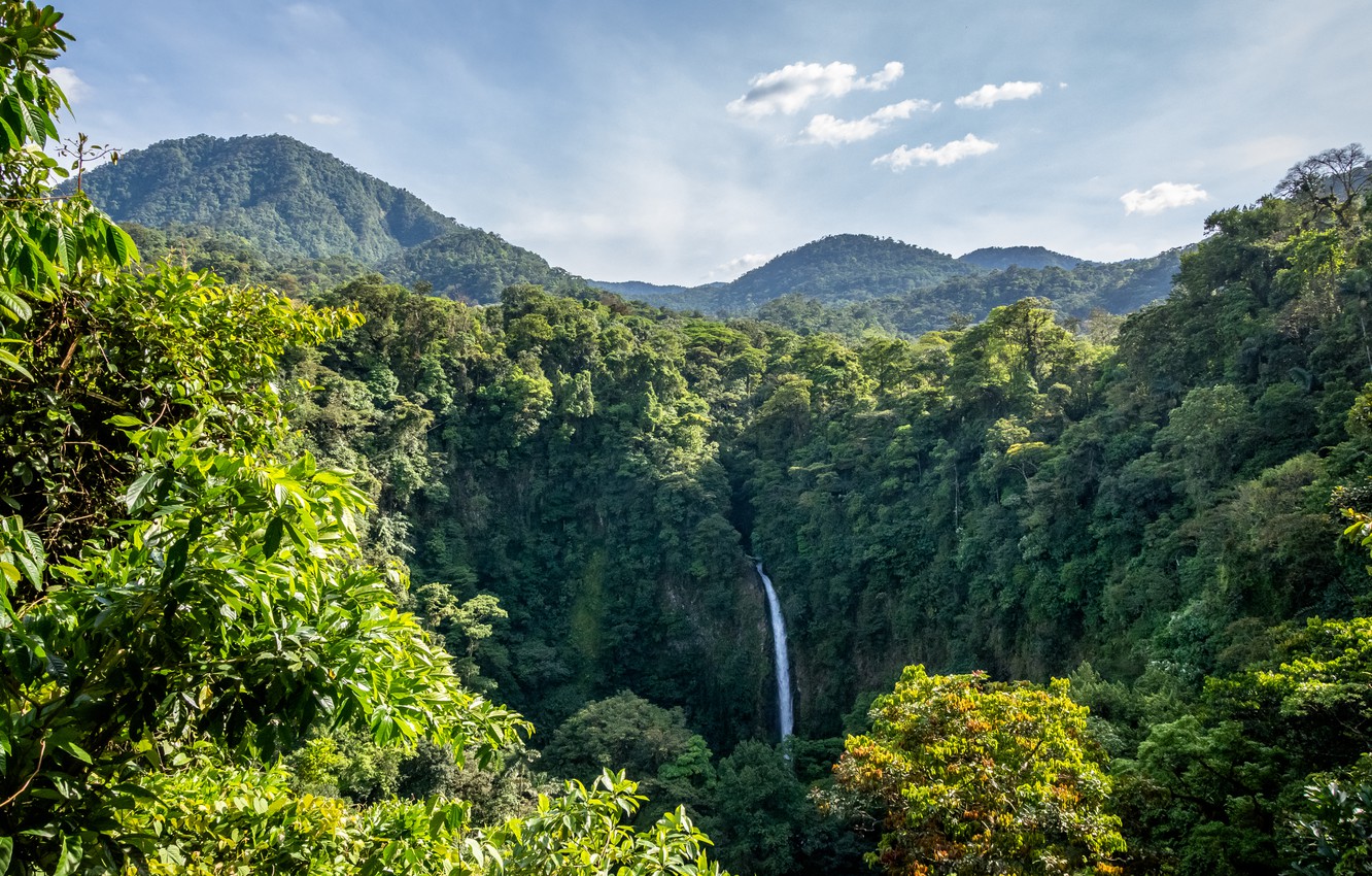 Wallpaper Nature Waterfall Forest Jungle Landscape Costa Rica