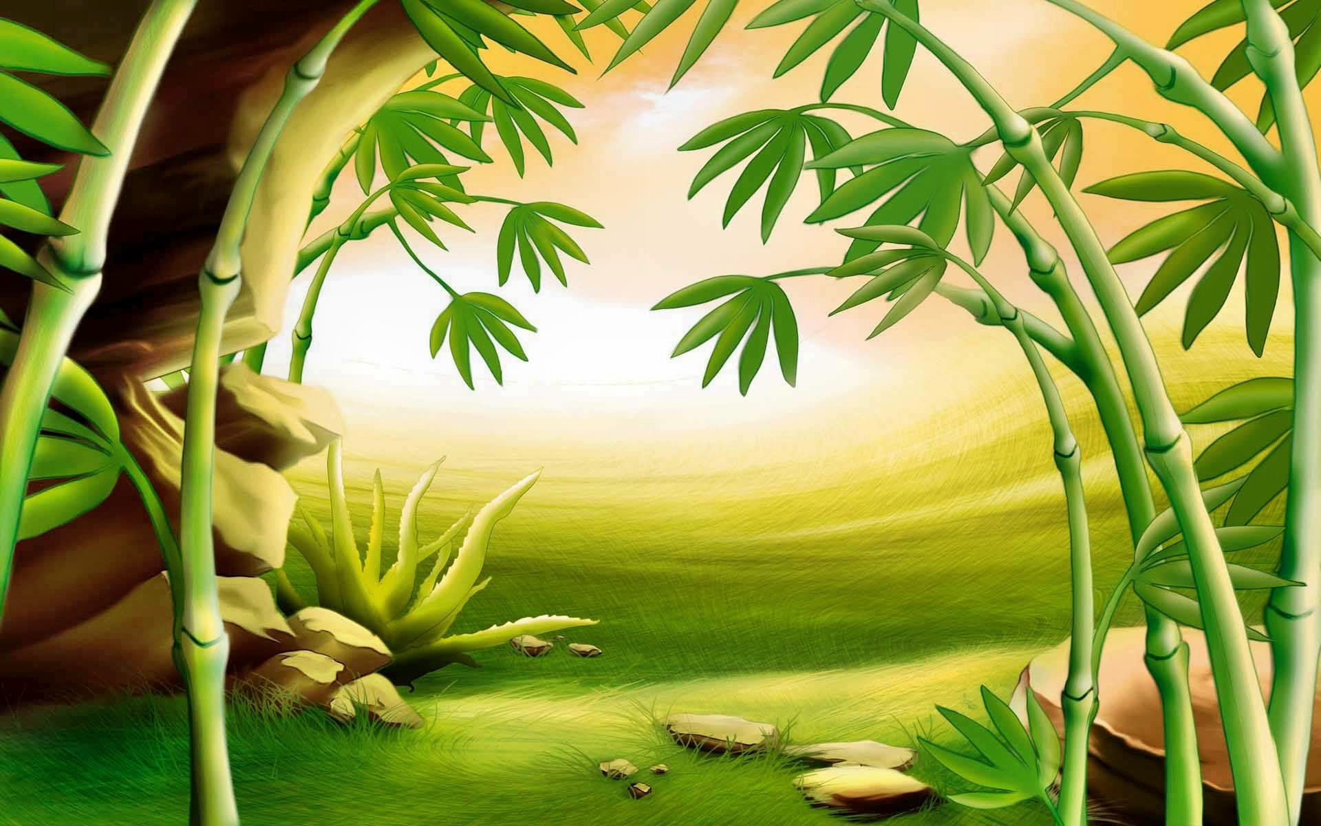 Bamboo HD Wallpaper