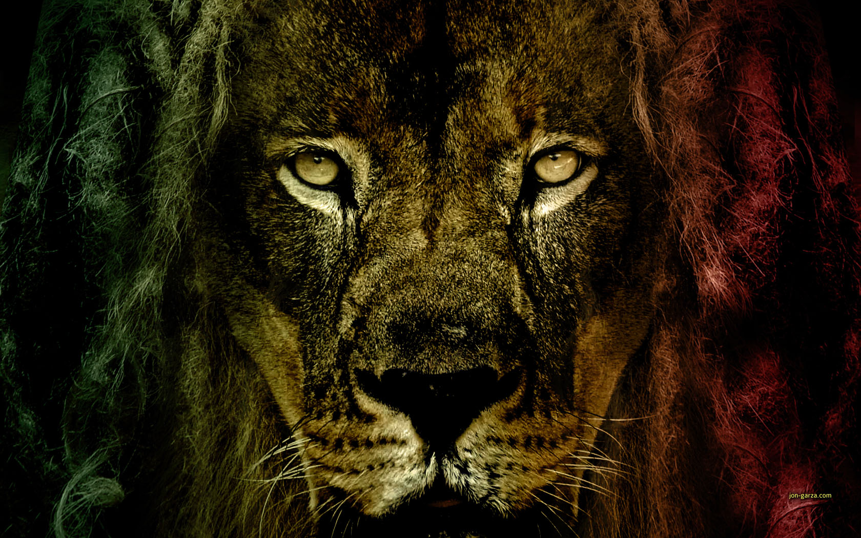 Lion Of Judah By Djog
