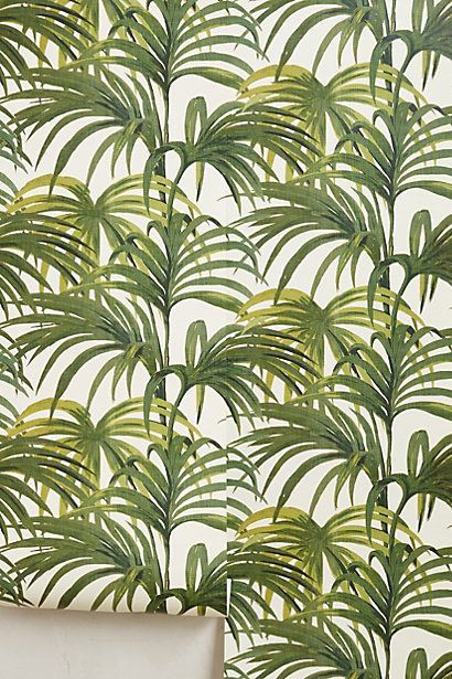 Palm Tree Leaf Wallpaper Fun At Home