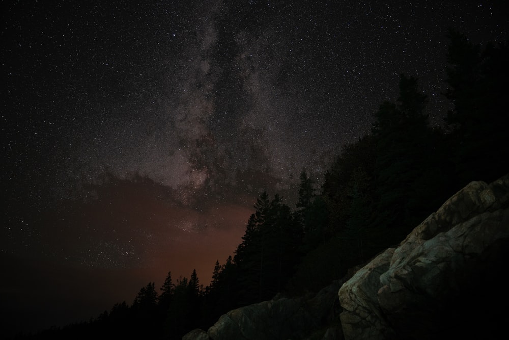 Nature Wallpaper HD Hq