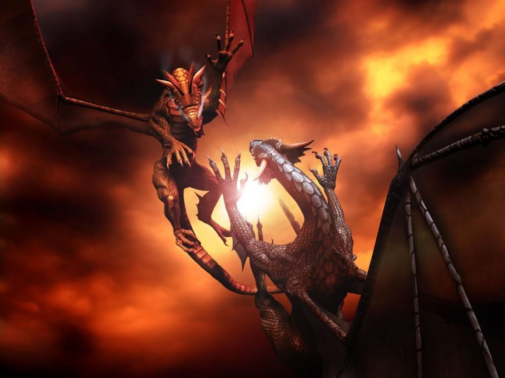 Image Dragons Fighting HD Wallpaper And Background Photos