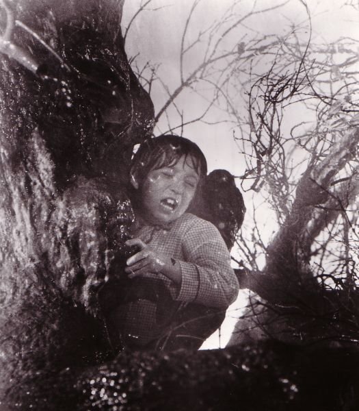 Still Of Oliver Robins In Poltergeist Image Pictures