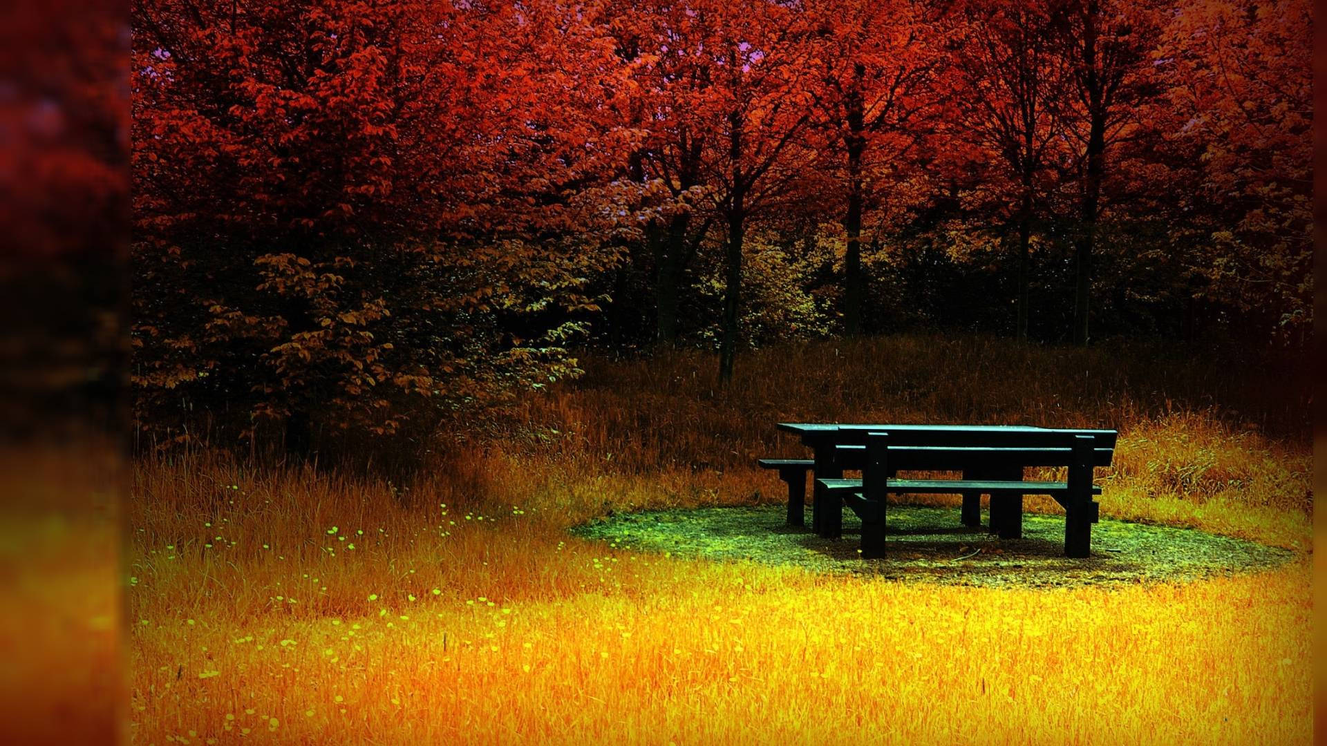 Full HD Wallpaper