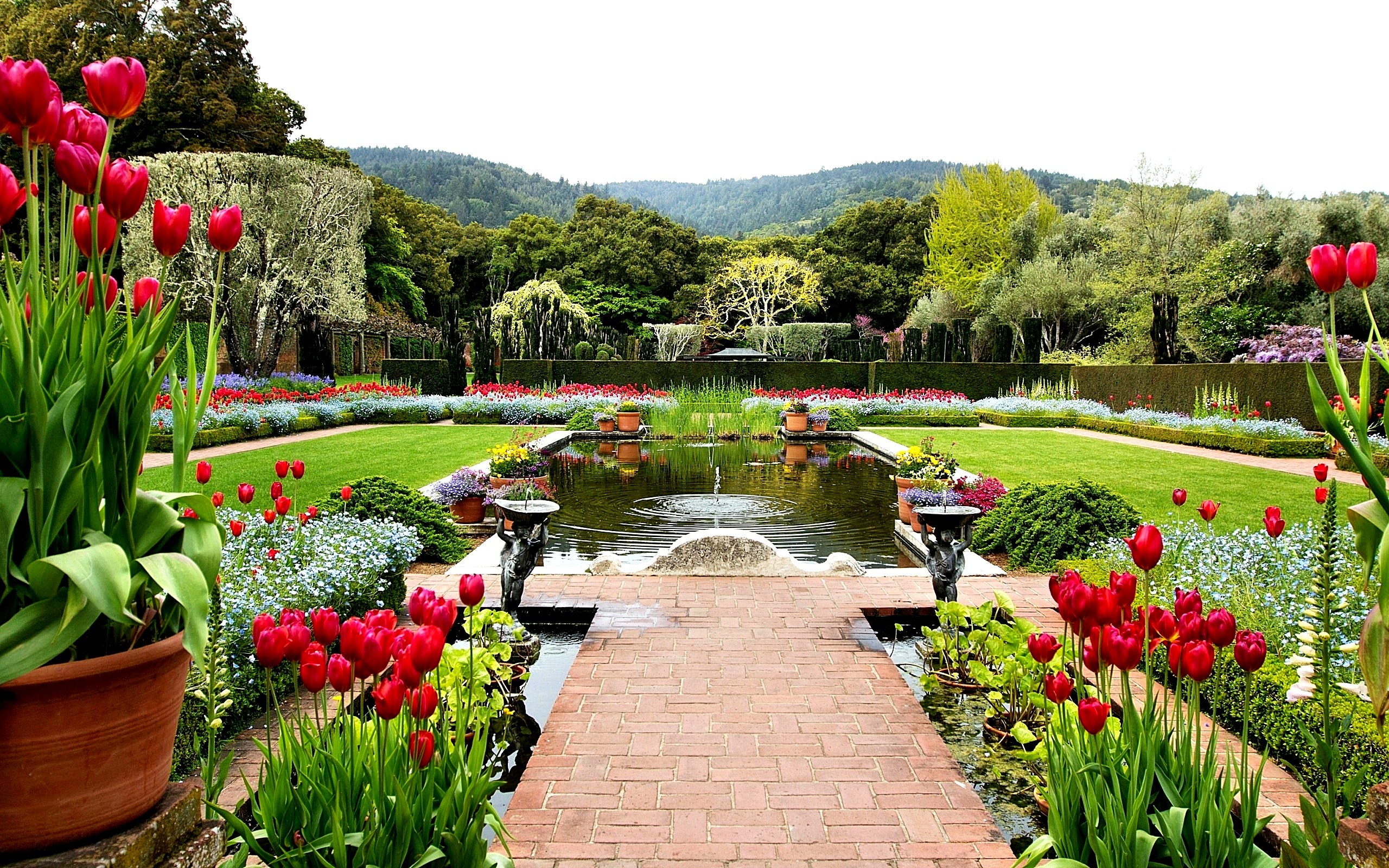 Garden Desktop Wallpaper