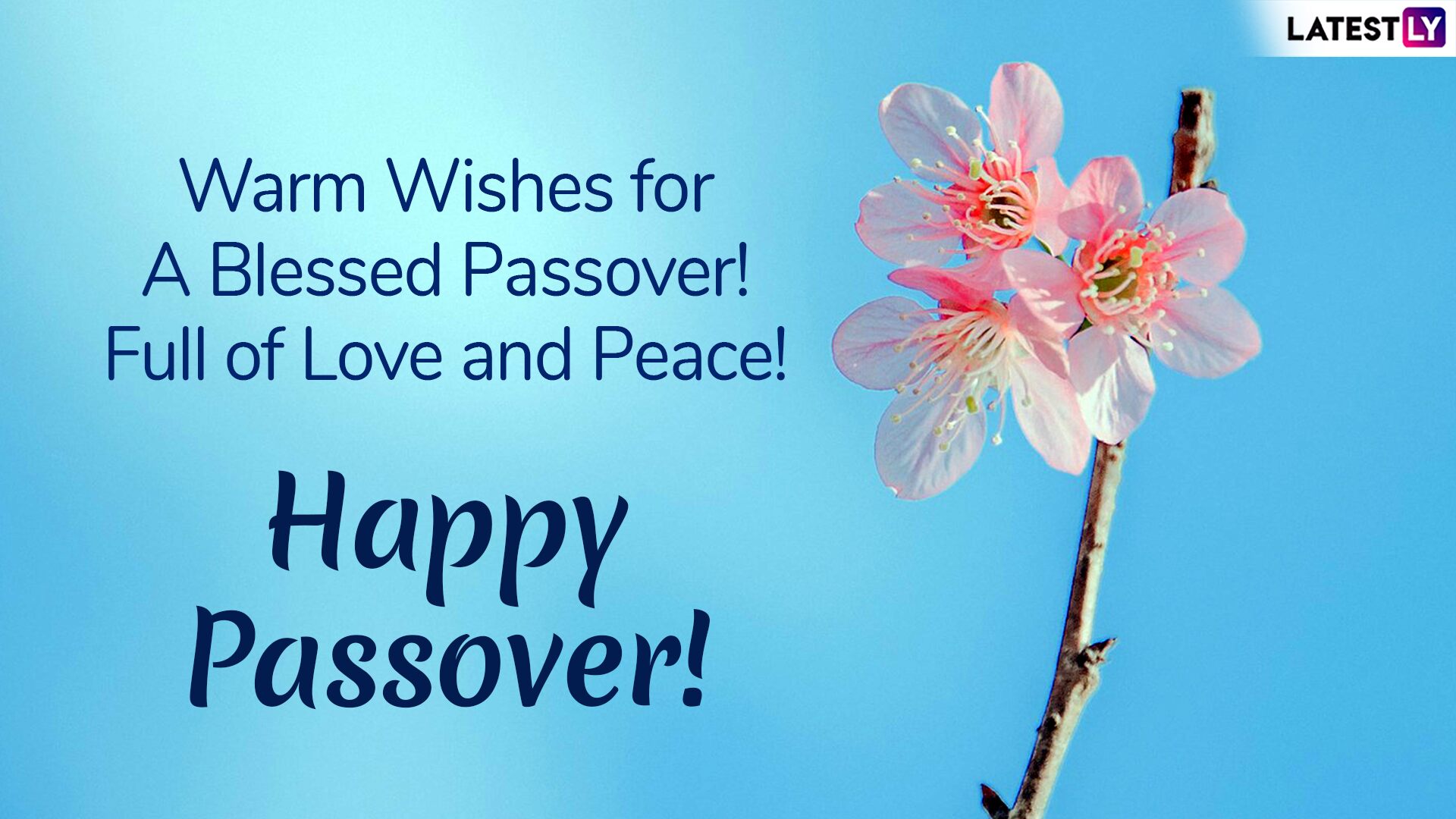 Passover Greetings Whatsapp Messages Gif Image Chag
