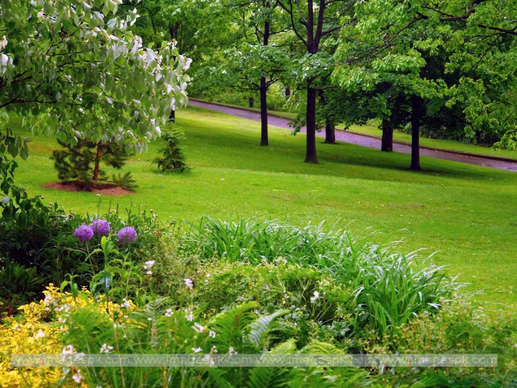 Beautiful Garden Wallpaper Related Keywords Amp Suggestions