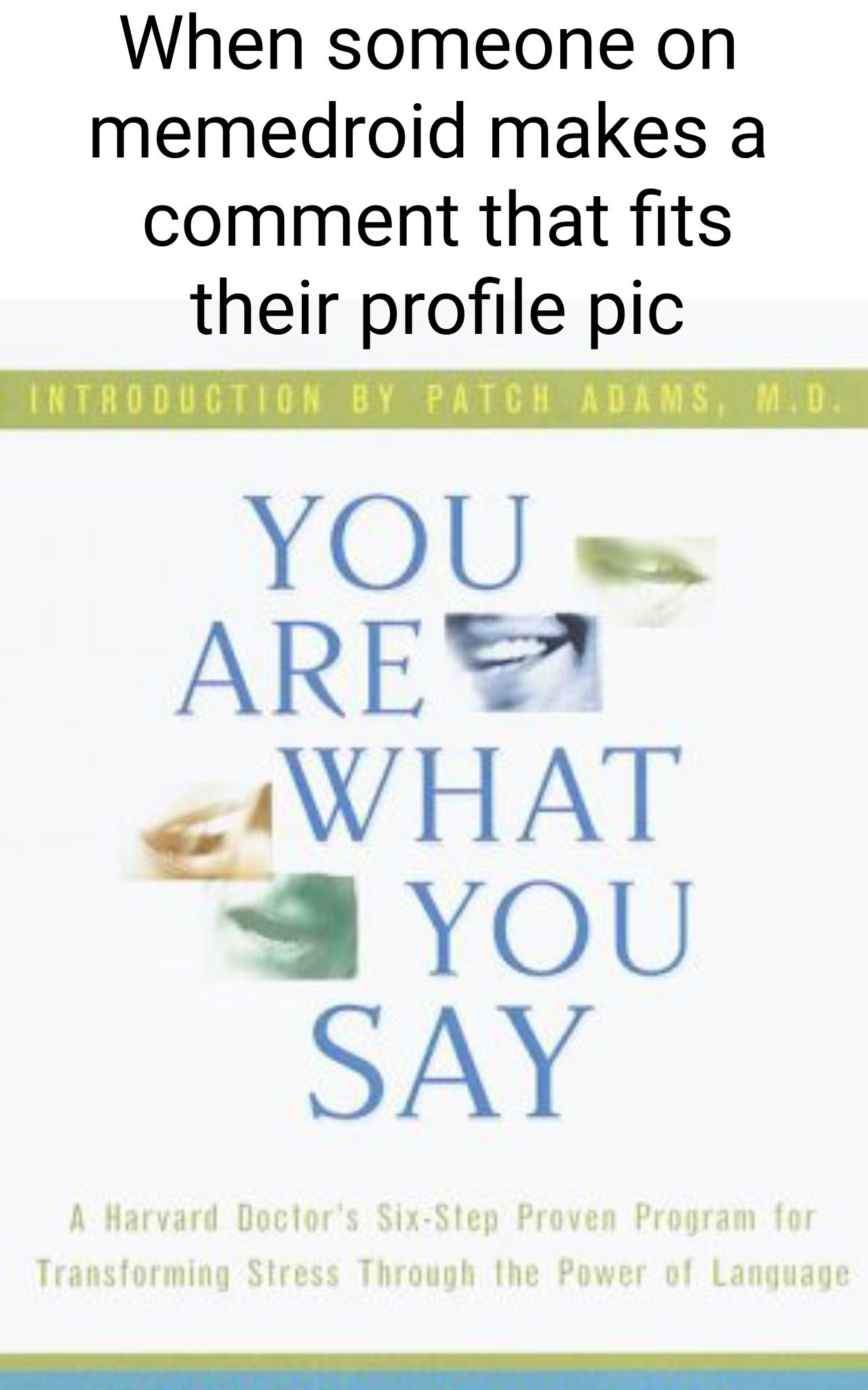 The Best Pfp Memes Wallpaper