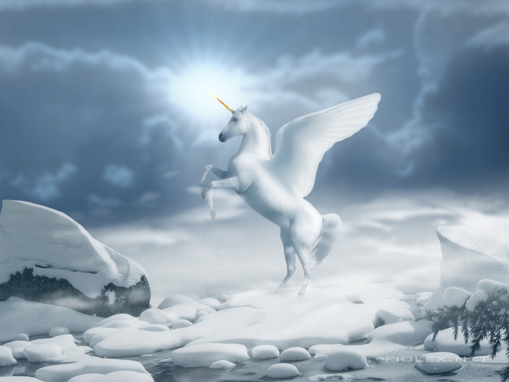 White Horse Wallpaper