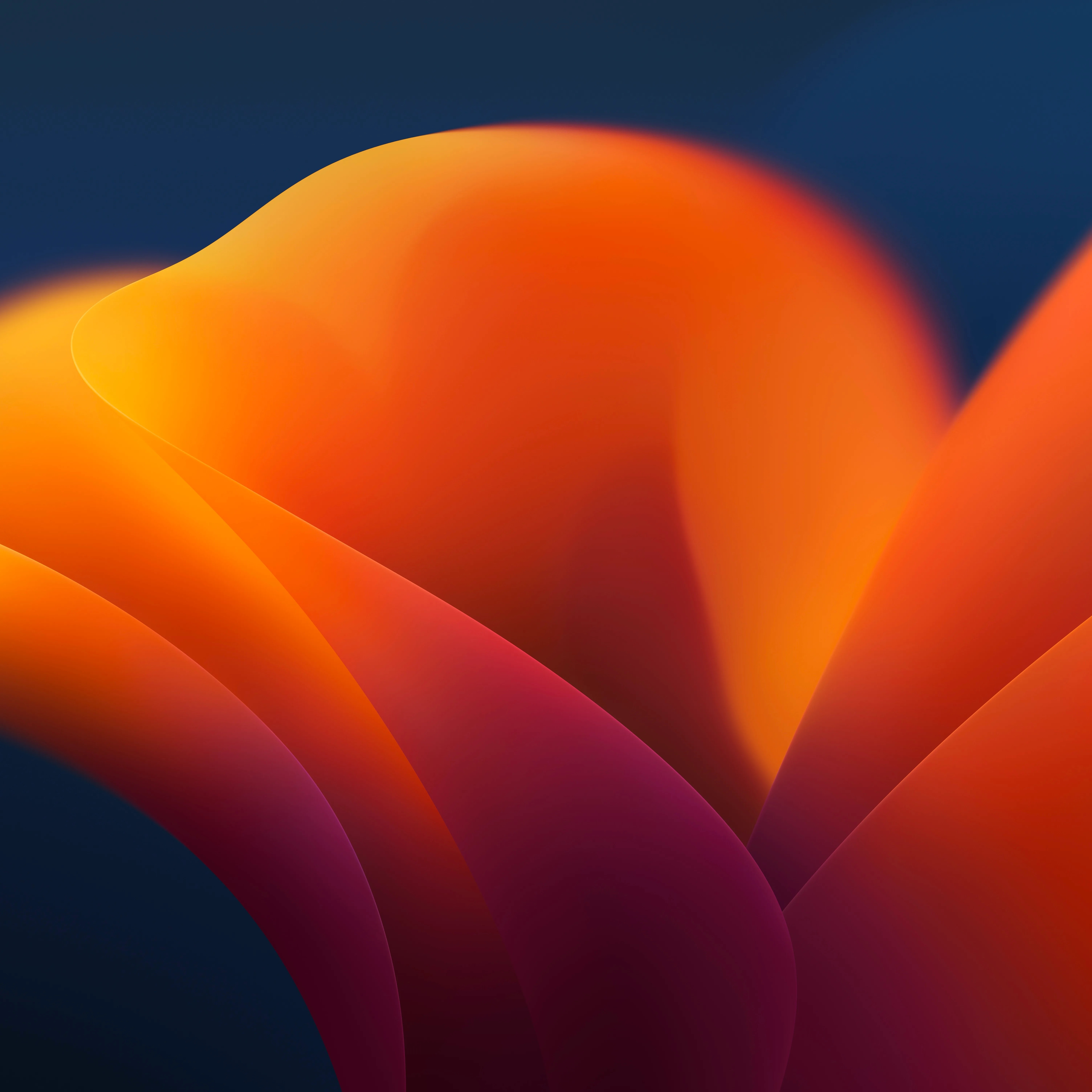 The Official Macos Ventura Wallpaper