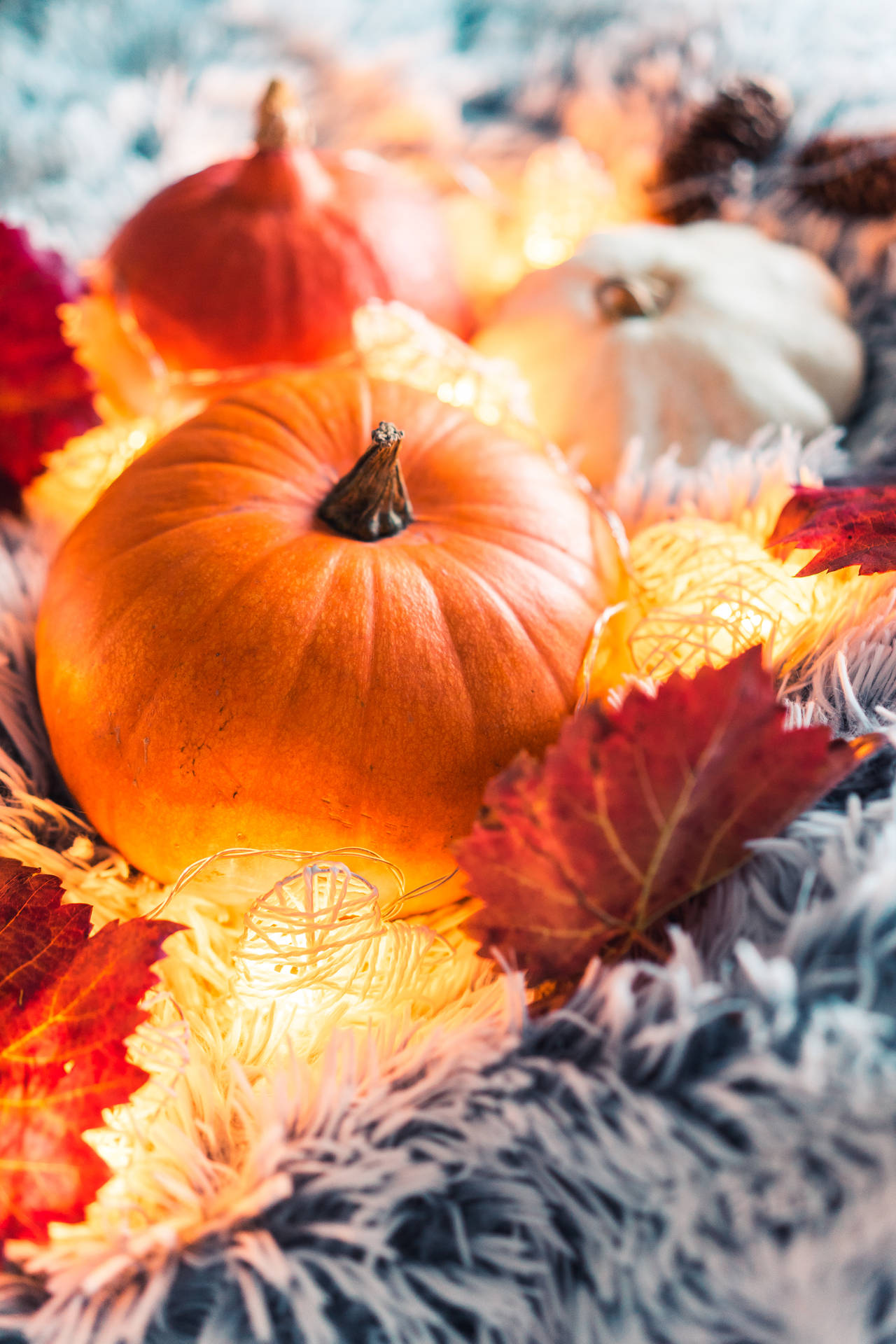 Halloween iPhone Wallpaper