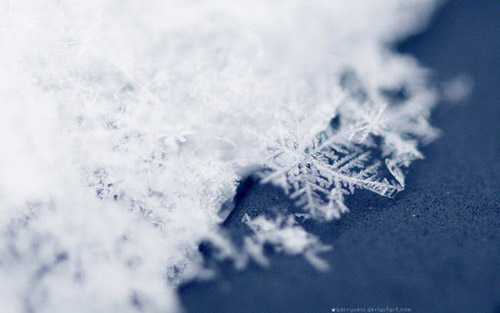 Selected Beautiful Winter Themed Wallpaper For Your Desktop