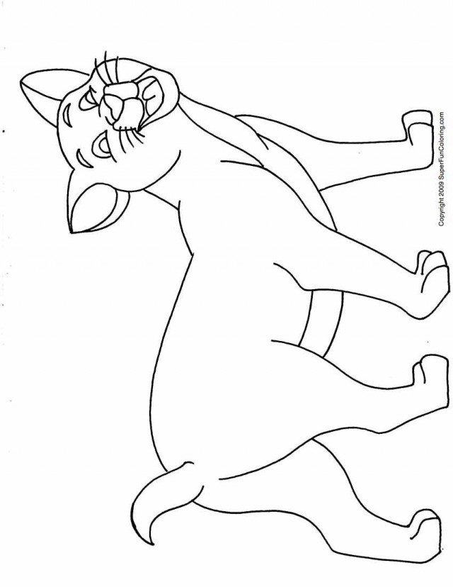 Calico Cat Colouring S Critters Coloring