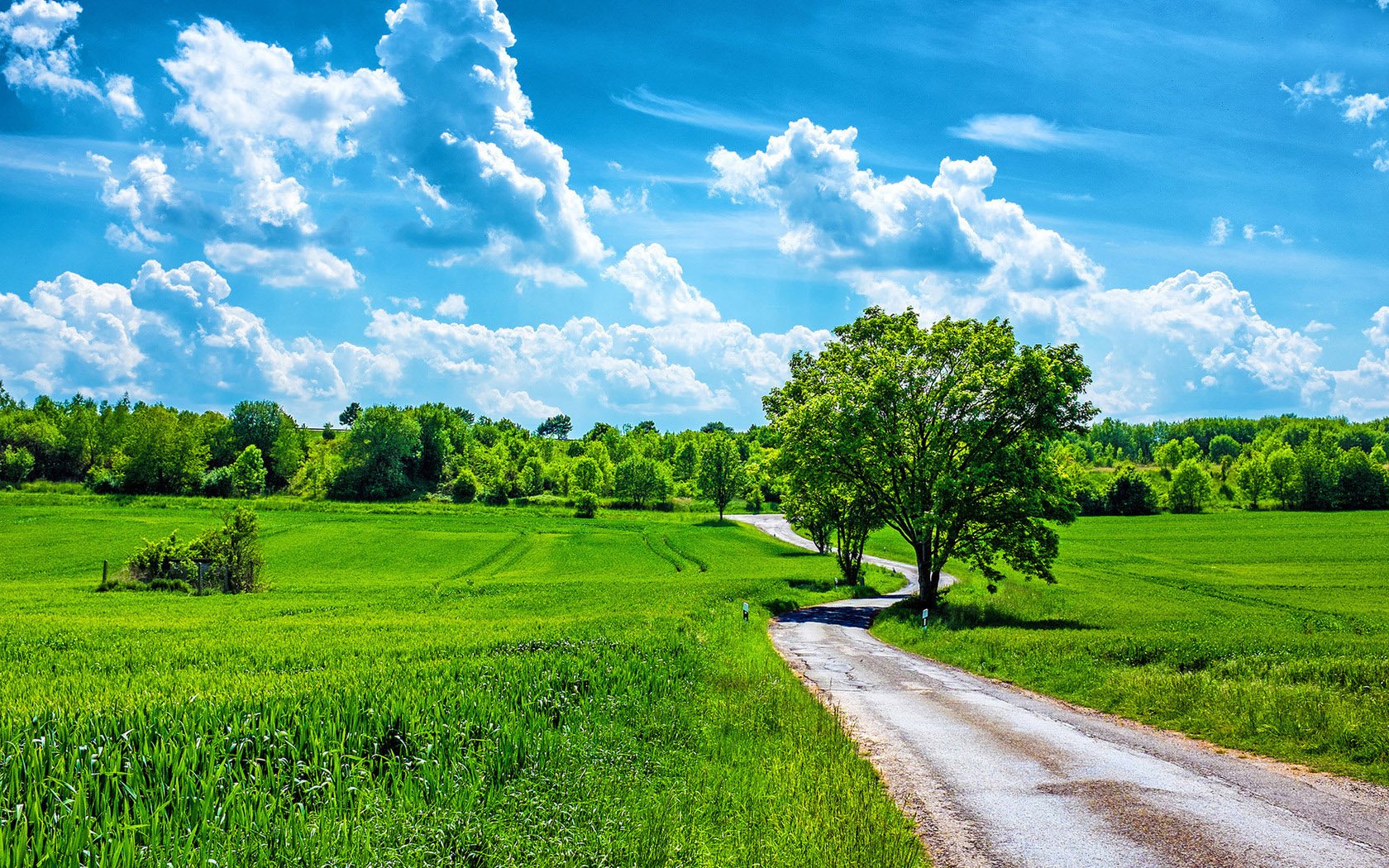 Wallpaper Nature Landscape Beautiful Summer Day Hd