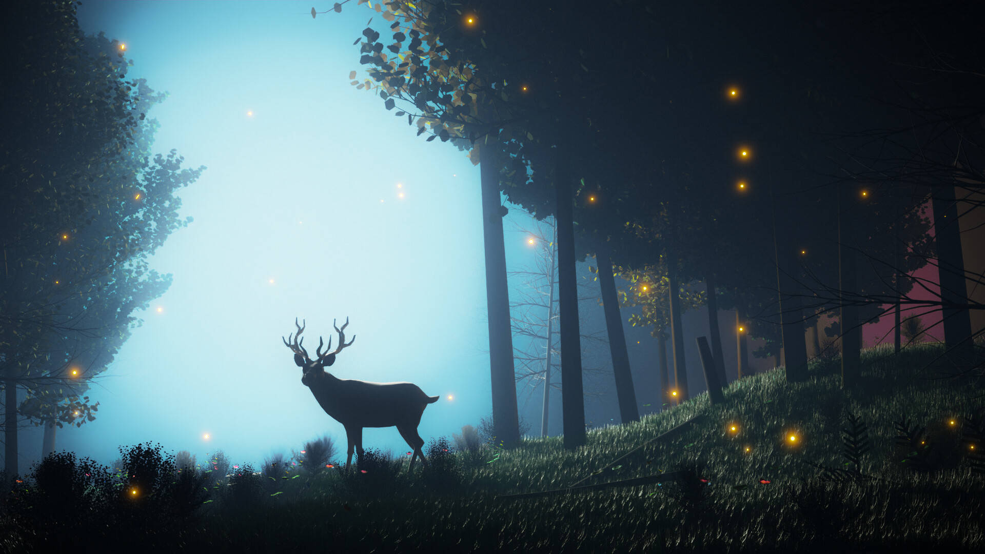 Mystical Forest Wallpaper