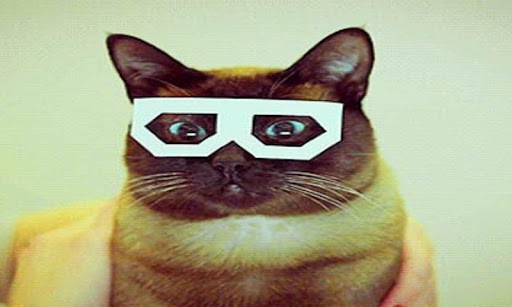 Cat Wearing Glasses Wallpaper Bigger