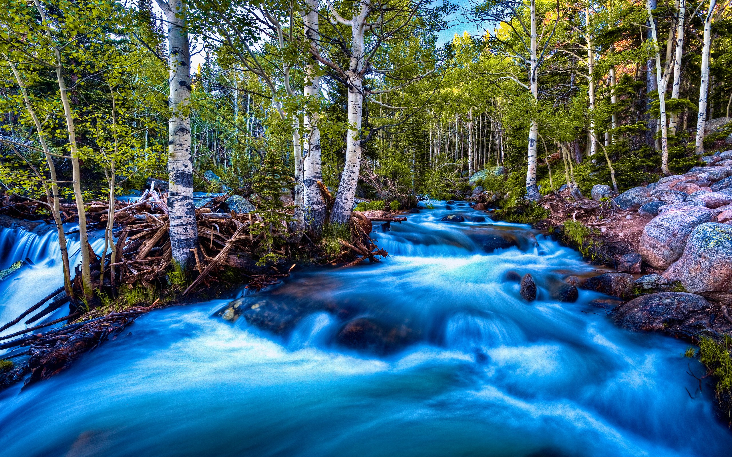A scenic wallpaper featuring a crystal-clear stream flowing through a lush forest of aspen trees