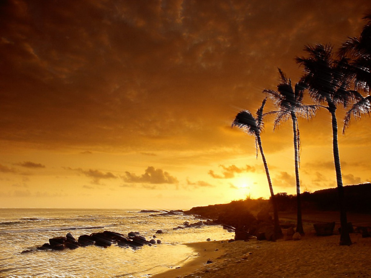 RSS Wallpapers Beach and Night HD Wallpaper