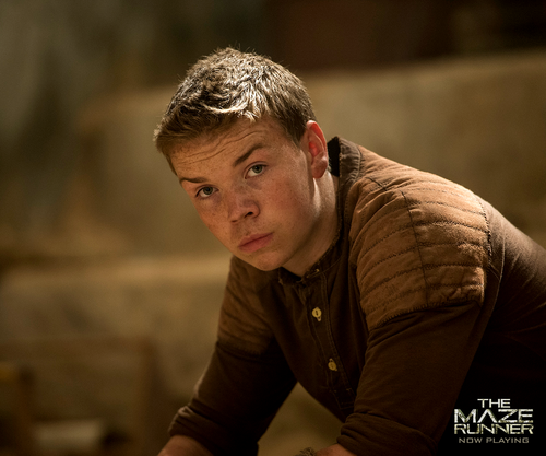The Maze Runner Image Gally HD Wallpaper And Background