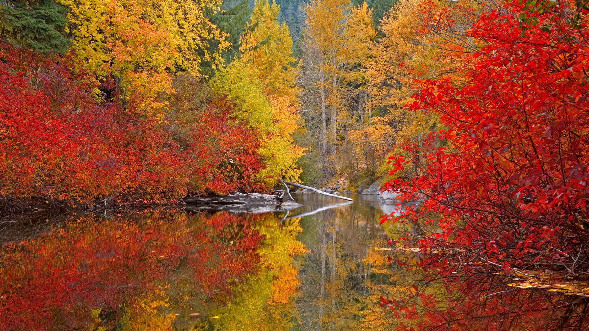 North Carolina Nature Image Pixel Popular HD Wallpaper