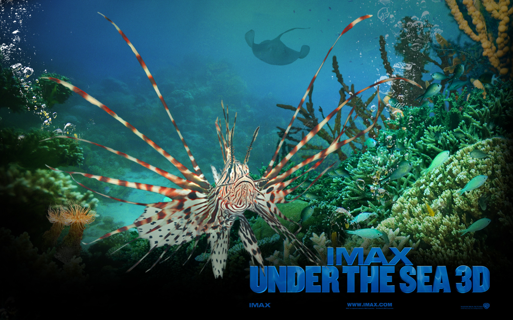 Under The Sea Ocean Background