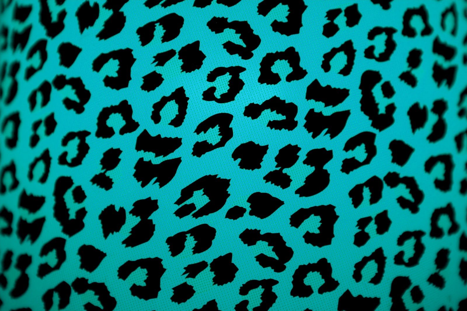 Leopard print pattern 1600x1067