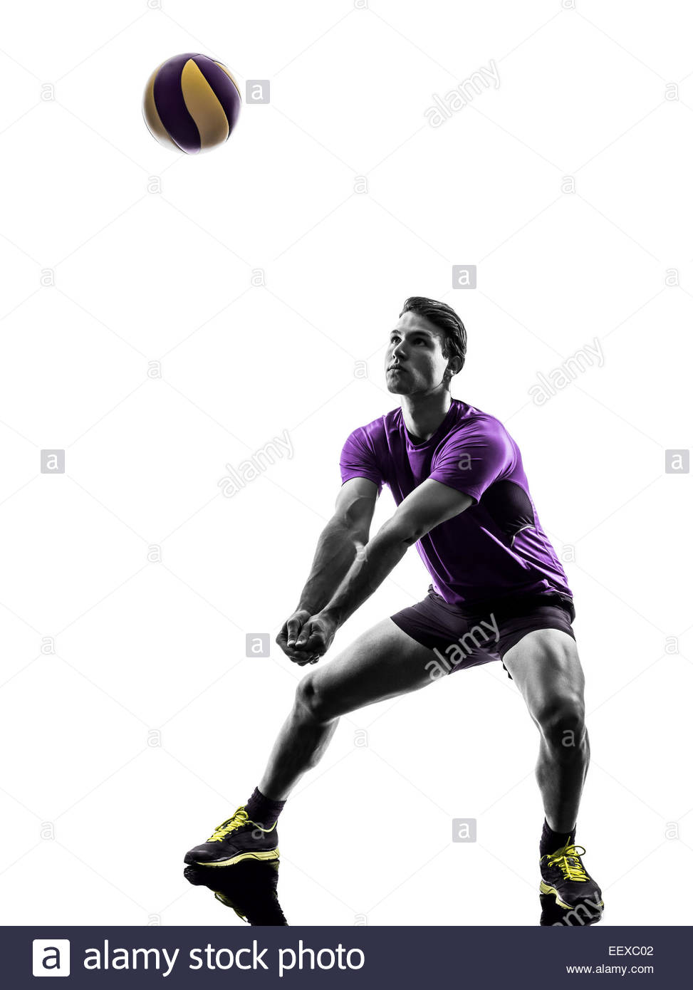 Young Volley Ball Player Man In Silhouette White Background Stock