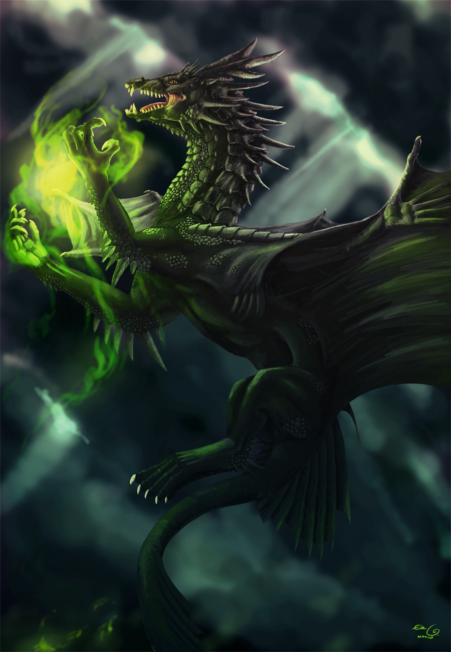 Black Dragon By Elen89