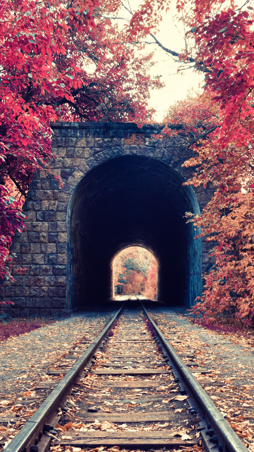 Autumn Train Tunnel Red Tree Leaves iPhone Plus HD Wallpaper Ipod