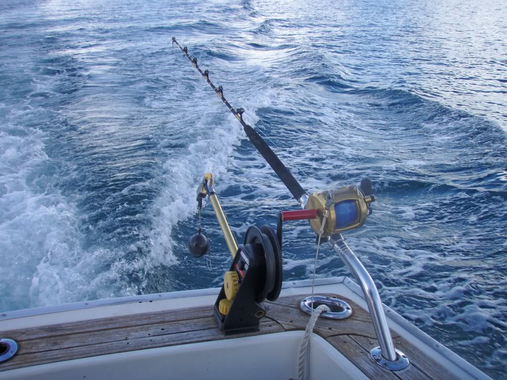Deep Sea Fishing Graphics Code Ments Pictures