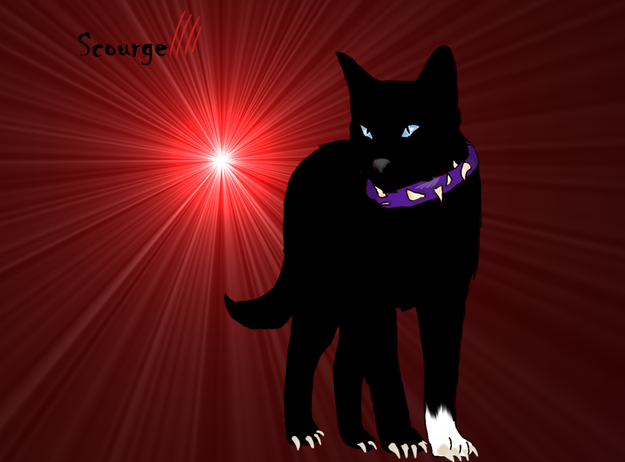 warrior cats wallpaper scourge