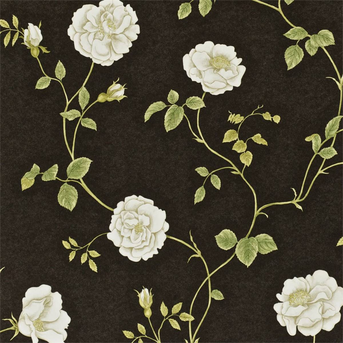 Rosalie Wallpaper Ebony Thyme Dapgro104 Sanderson A