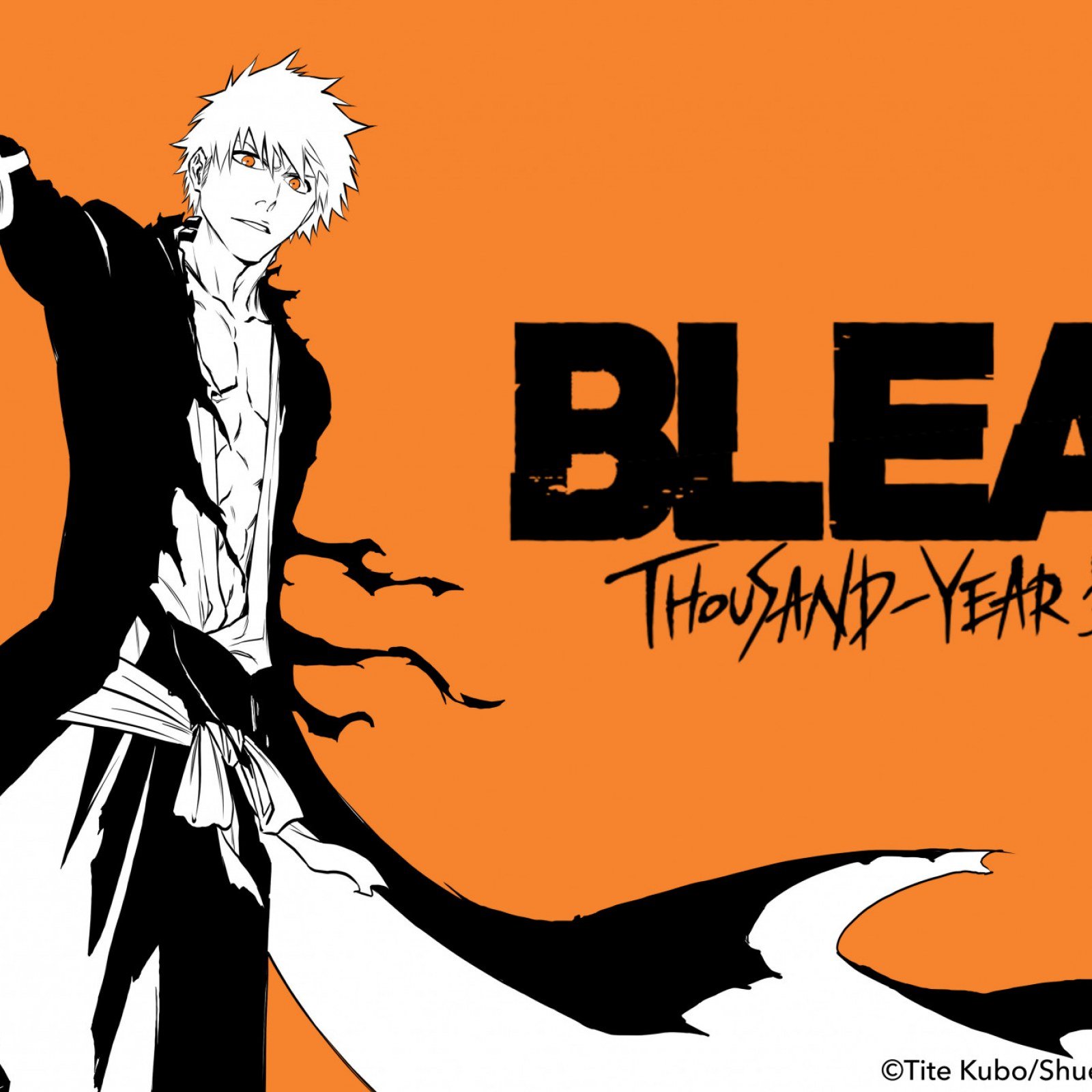 Will Bleachs Thousand Year Blood War Arc Get an Anime Adaptation