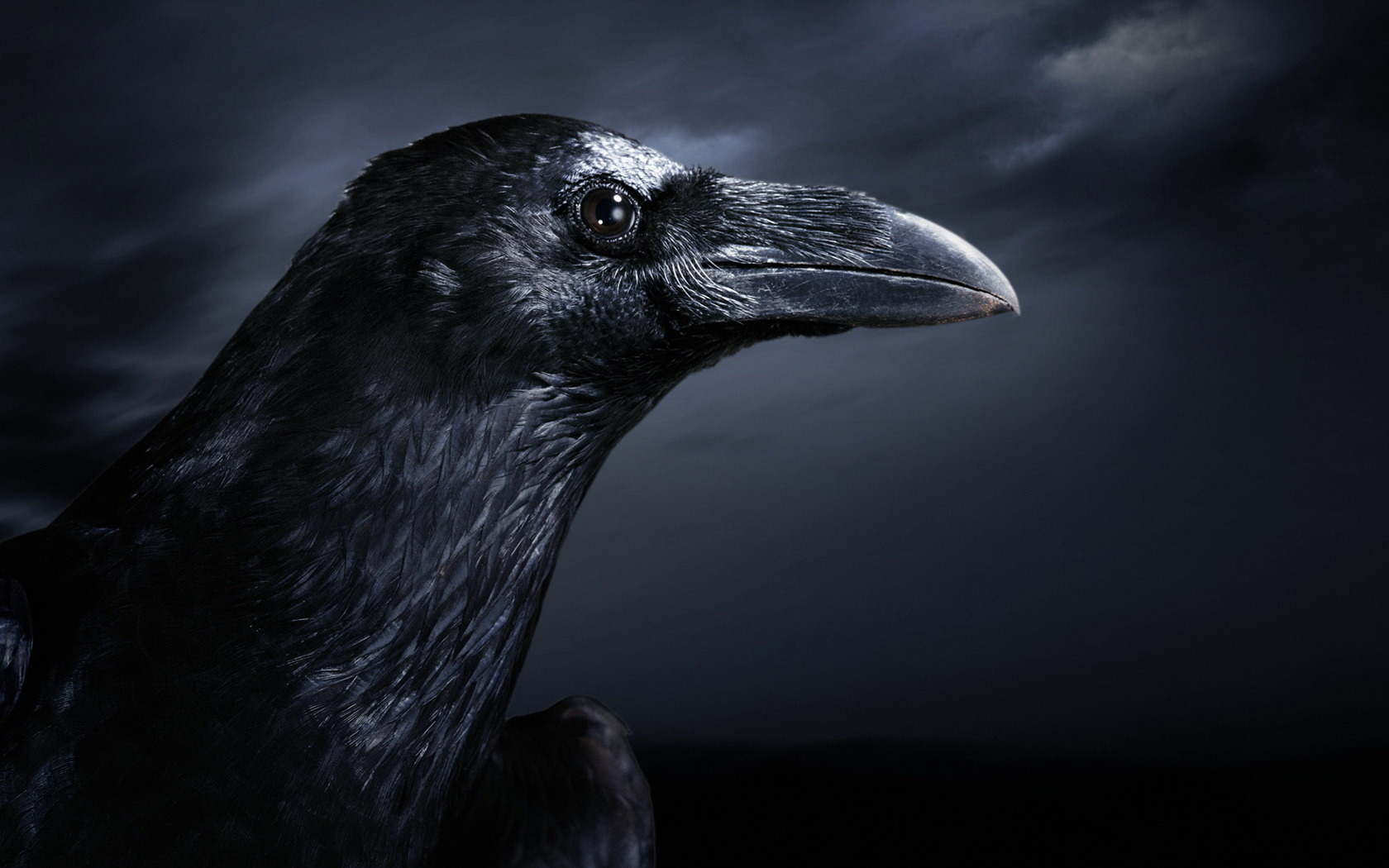 The Raven UnderworldTalescom 1680x1050