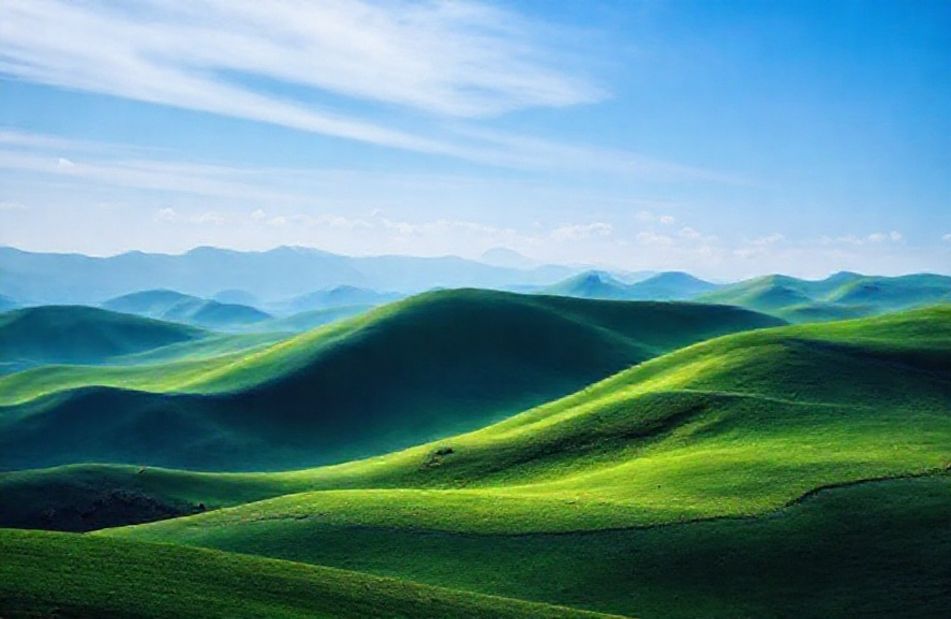 Official Windows Wallpaper