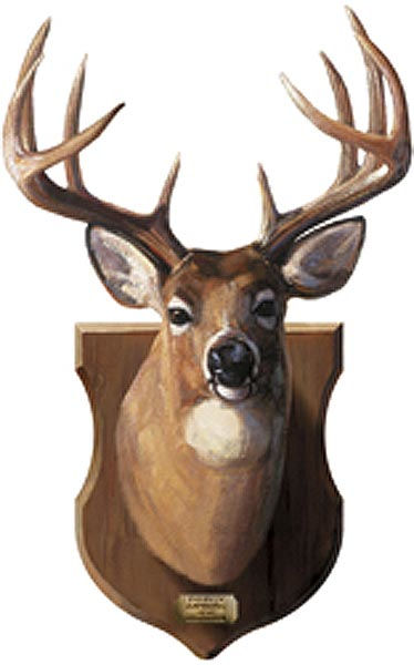 Free download Deer Head Mount Peel and Stick Wall Mural Wall Sticker